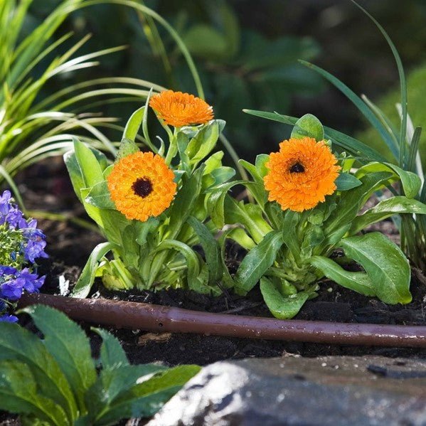 Drip Eze 13mm Non Pressure Compensating Dripline - Irrigation Easy