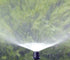 Spectrum Adjustable Sprays 360° - Irrigation Easy